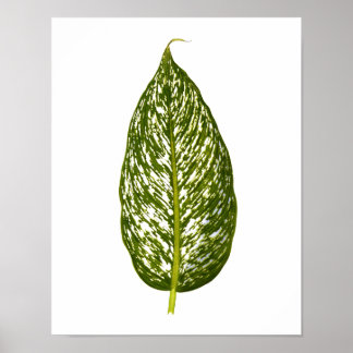 Vintage Botanical Leaf Print