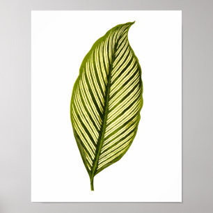 Vintage Botanical Leaf Print