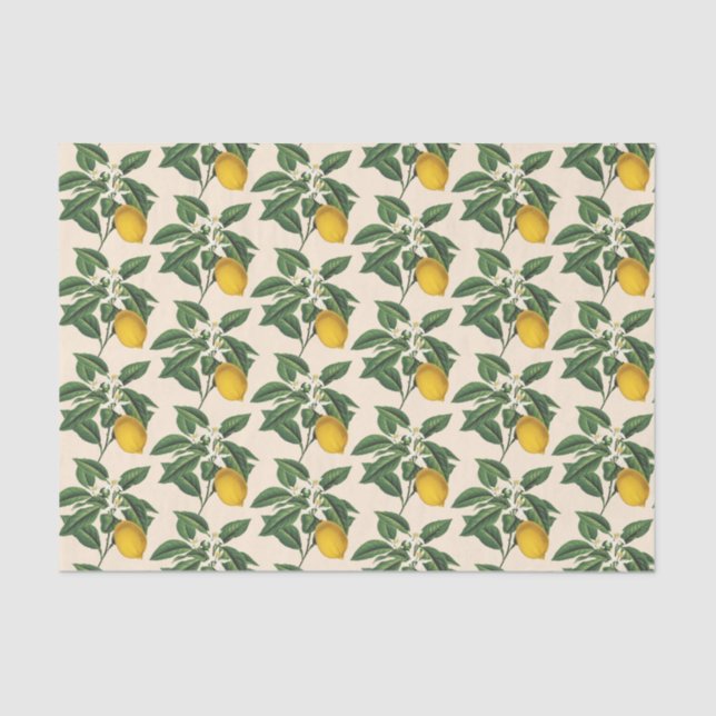Vintage Botanical Lemon Fruit Blossom Beige Tissue Paper (Front)