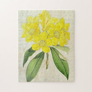 Vintage Botanical Lobb's Rhododendron Jigsaw Puzzle