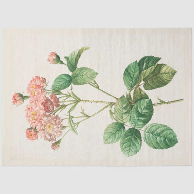 Vintage Botanical Modern Popular Floral Tissue Paper (Front)