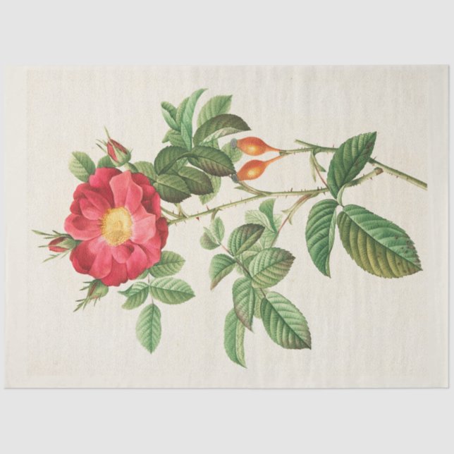 Vintage Botanical Modern Popular Floral Tissue Paper (Front)