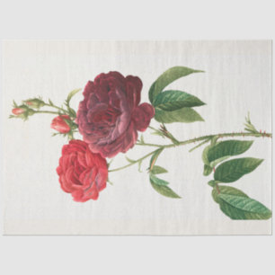 Vintage Botanical Modern Popular Floral Tissue Paper