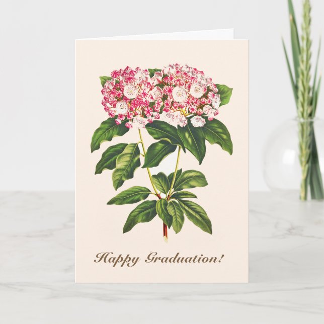 Vintage Botanical Mountain Laurel Flower  Card (Front)