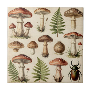 Vintage Botanical Mushroom Fern Collage Ceramic Tile