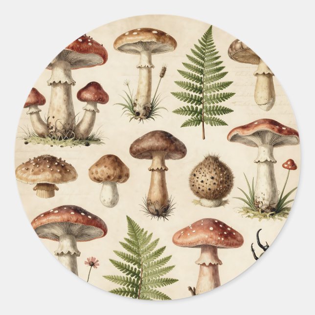 Vintage Botanical Mushroom Fern Collage Classic Round Sticker (Front)