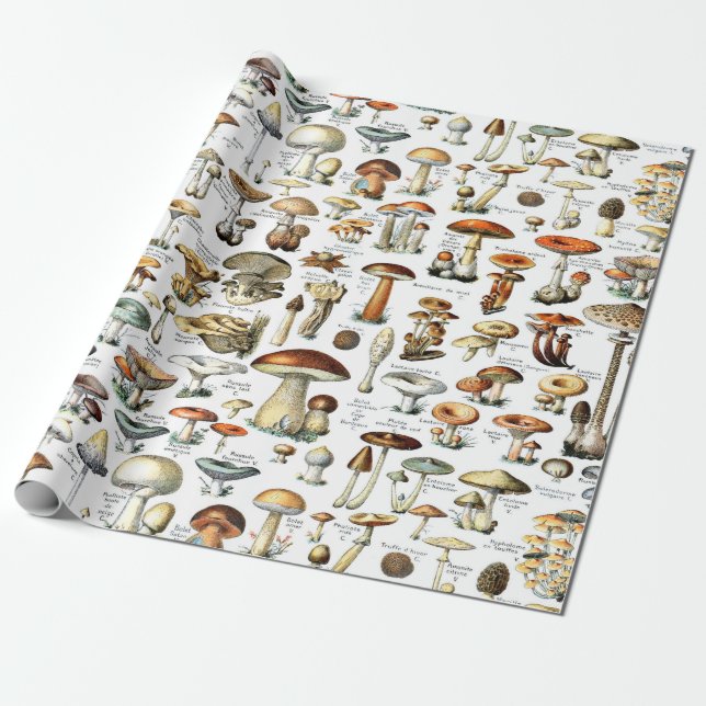 Vintage Botanical Mushroom Wrappingl Paper (Unrolled)