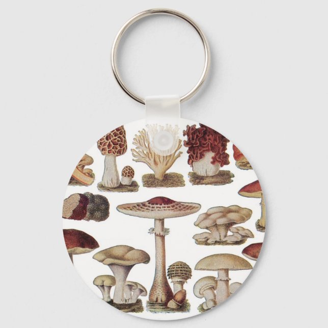 Vintage Botanical Mushrooms Key Ring (Front)
