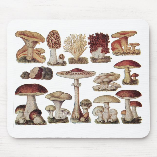 Vintage Botanical Mushrooms Mouse Pad (Front)