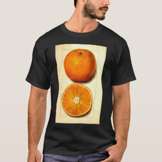 Vintage Botanical Navel Orange Watercolor Fruit T-Shirt