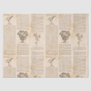 Vintage Botanical Newsprint Decoupage Tissue Paper