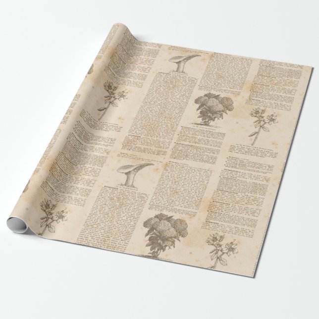 Vintage Botanical Newsprint Wrapping Paper (Unrolled)