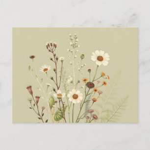 Vintage Botanical of Wildflowers and Ferns Postcard