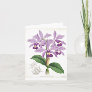 Vintage Botanical Orchids Card