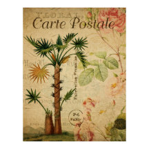Vintage Botanical Palm Tree 