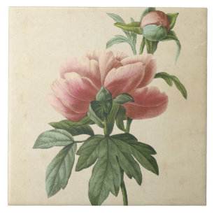 Vintage Botanical Peony Ceramic Tile