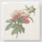 Vintage Botanical Pink Rose
