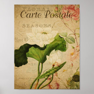 Vintage Botanical Poster - French Lotus