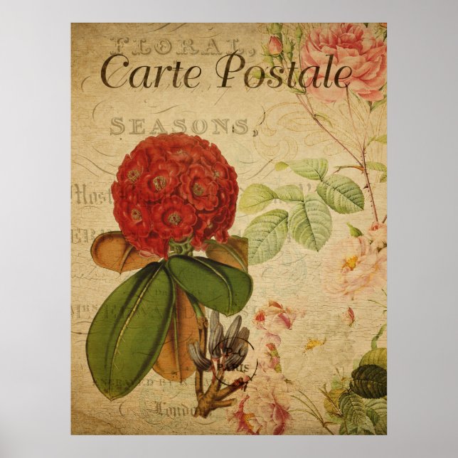 Vintage Botanical Poster - Rhododenron (Front)