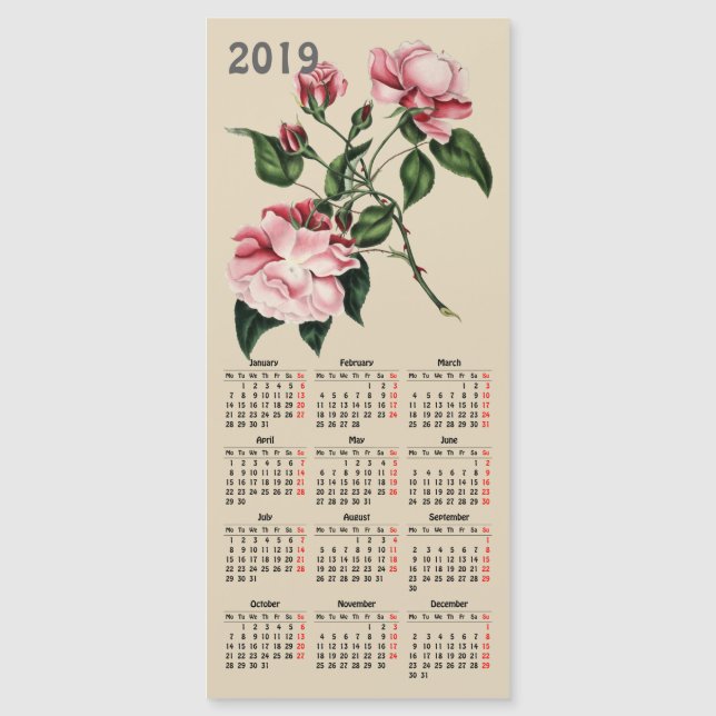 vintage botanical print 2019 calendar (Front)