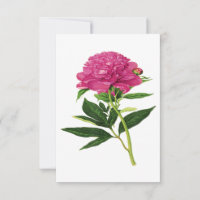 Vintage Botanical Print, Fuchsia Pink Peony