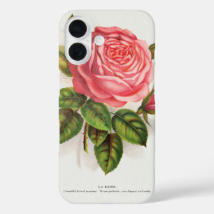 Vintage botanical print La Reine pink rose iPhone 16 Case