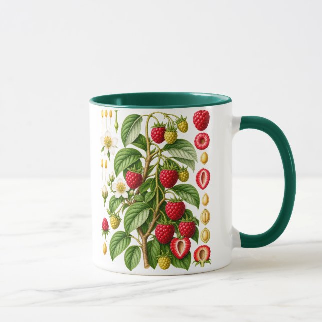 Vintage Botanical Raspberry Illustration Mug (Right)