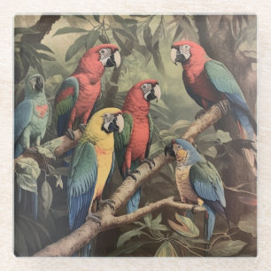 Vintage botanical scene colourful parrots in a tre glass coaster