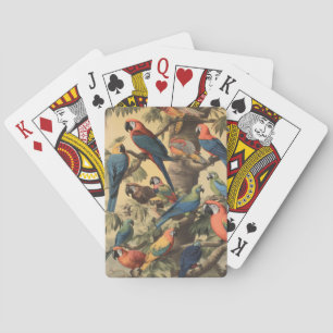 Vintage botanical scene colourful parrots in a tre playing cards