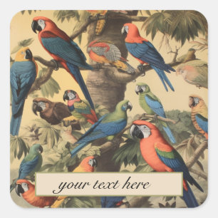 Vintage botanical scene parrots customisable square sticker