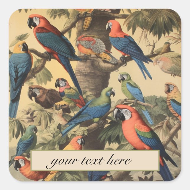 Vintage botanical scene parrots customisable  square sticker (Front)