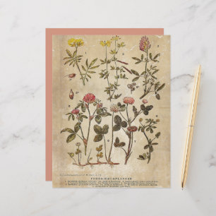 Vintage Botanical Scrapbook Paper