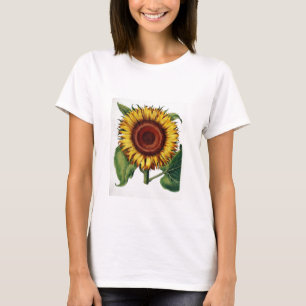 Vintage Botanical - Sunflower, T-Shirt