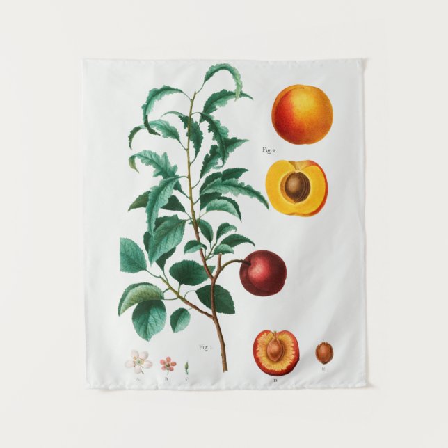 vintage Botanical Tapestry (Front)