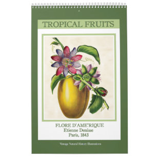 Vintage Botanical Tropical Fruits 2026 Calendar