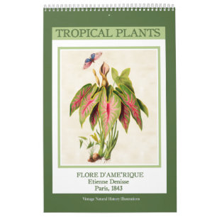 Vintage Botanical Tropical Plants 2025 Calendar