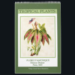 Vintage Botanical Tropical Plants 2026 Calendar<br><div class="desc">Twelve-month wall calendar with vintage botanical illustrations of tropical plants from Flore d'Ame'rique,  published in Paris in 1843. Digitally cleaned and enhanced antique images include amaryllis,  heliconia,  bromeliad,  plumeria,  hibiscus,  and caladium.</div>
