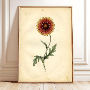 Vintage Botanical Wall Art
