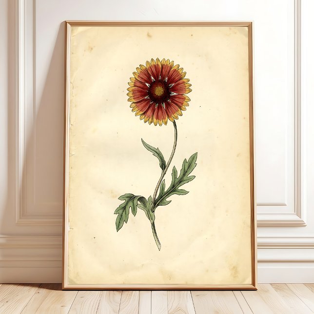 Vintage Botanical Wall Art (Creator Uploaded)