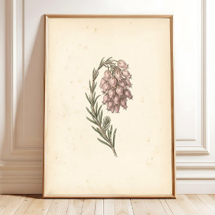 Vintage Botanical Wall Art Canvas Print