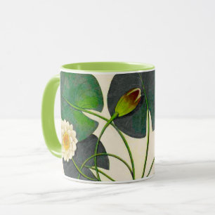 Vintage Botanical Waterlily Mug