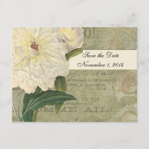 Vintage Botanical White Peony Save the Date Announcement Postcard