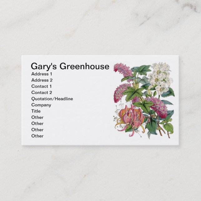Vintage Botanicals Illustrations Business Card (Front)