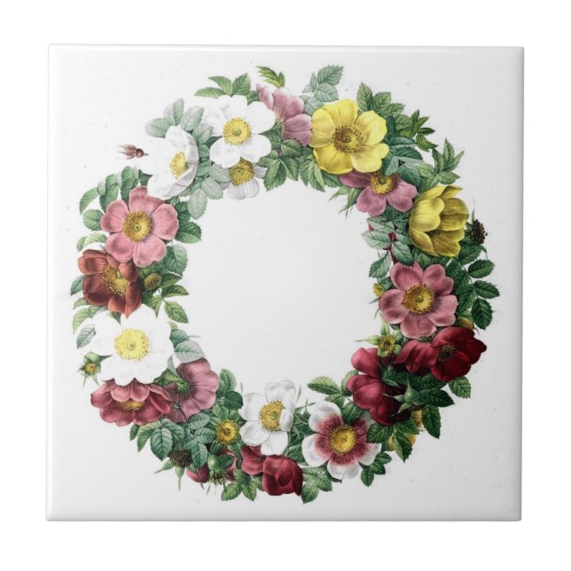 Vintage Botanicals Illustrations Tile (Front)