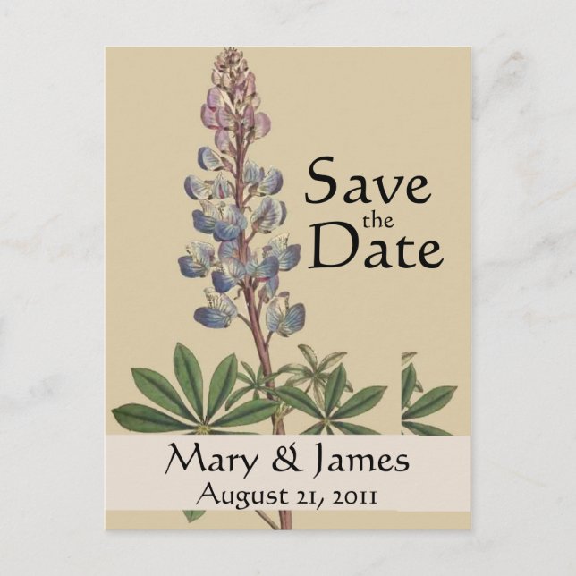 Vintage Botanicals Lupin Save the Date Postcard (Front)