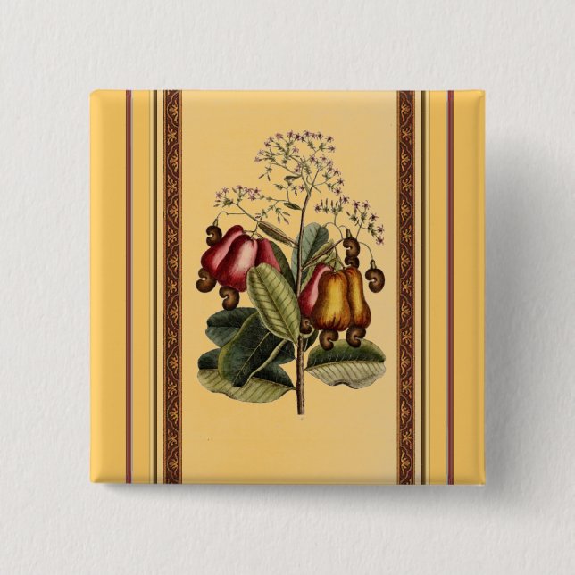 Vintage Botantical Illustration Button (Front)