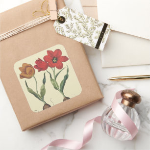 Vintage Botany, Blooming Tulip Flowers and Bulbs Square Sticker