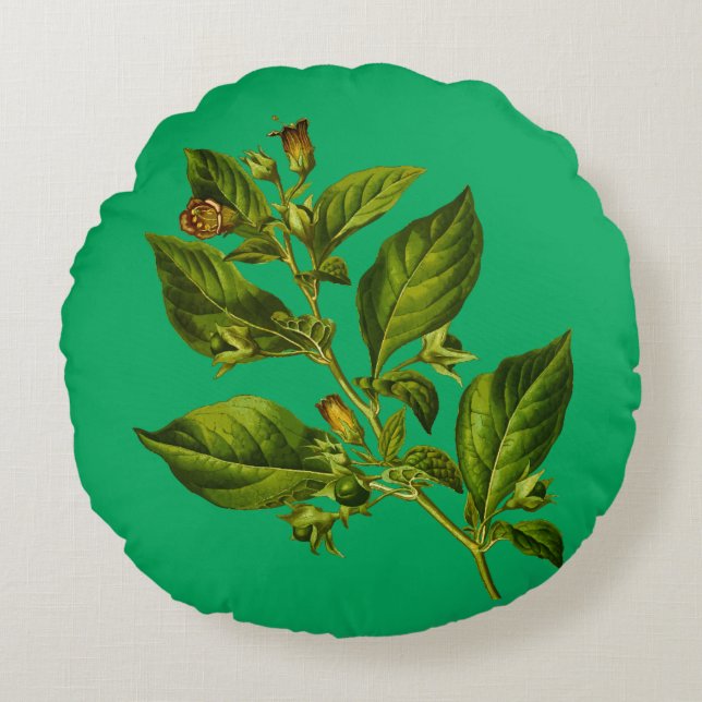 Vintage Botany Illustration Flower Round Cushion (Front)