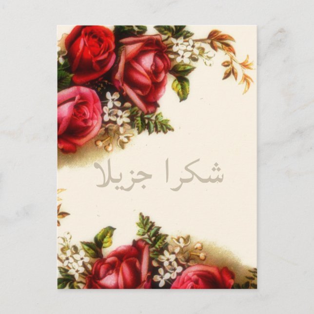Vintage Bouquet of Pink roses    -  Shukran Postcard (Front)