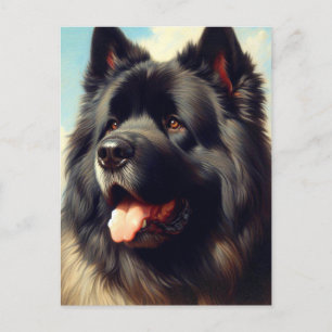 Vintage Bouvier des Flandres Painting Postcard